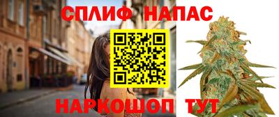 шишки Севастополь