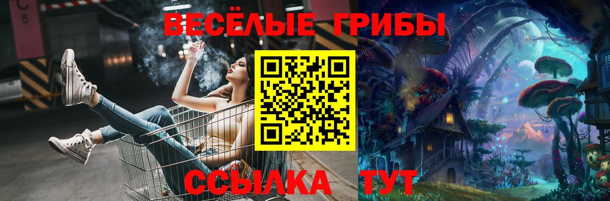 Галлюциногенные грибы ЛСД Брянск