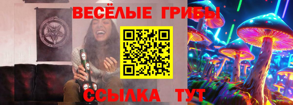 Брянск  Псилоцибиновые грибы прущие грибы  Вход с VPN 