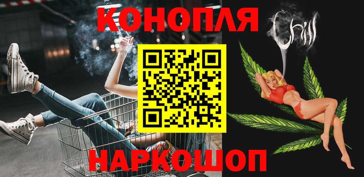 Бошки Шишки план Брянск